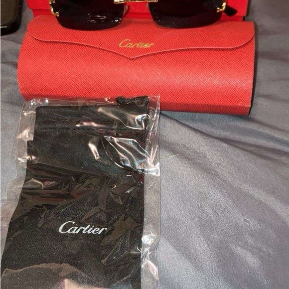 Cartier Other - COPY - Cartier Black tinted sunglasses with case